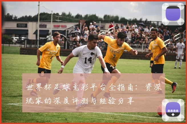 世界杯足球竞彩平台全指南:资深玩家的深度评测与经验分享