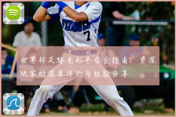 世界杯足球竞彩平台全指南:资深玩家的深度评测与经验分享