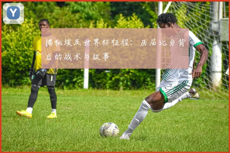 揭秘埃及世界杯征程：历届比分背后的战术与故事