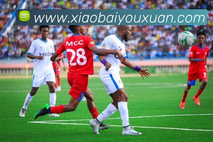 App Interface Preview